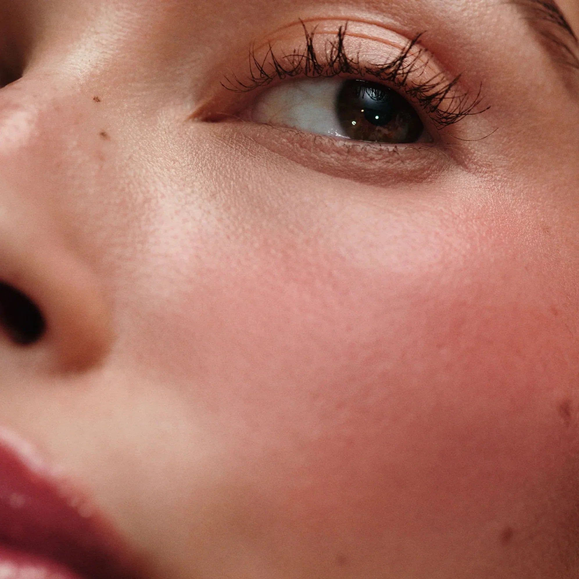 RHODE ALLIK: POCKET BLUSH CEP ALLIK