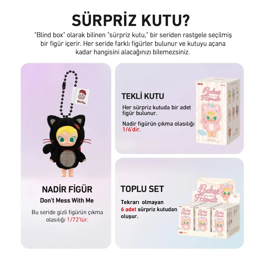 POP MART BABY MOLLY POCKET FRIENDS SÜRPRİZ KUTU SERİSİ