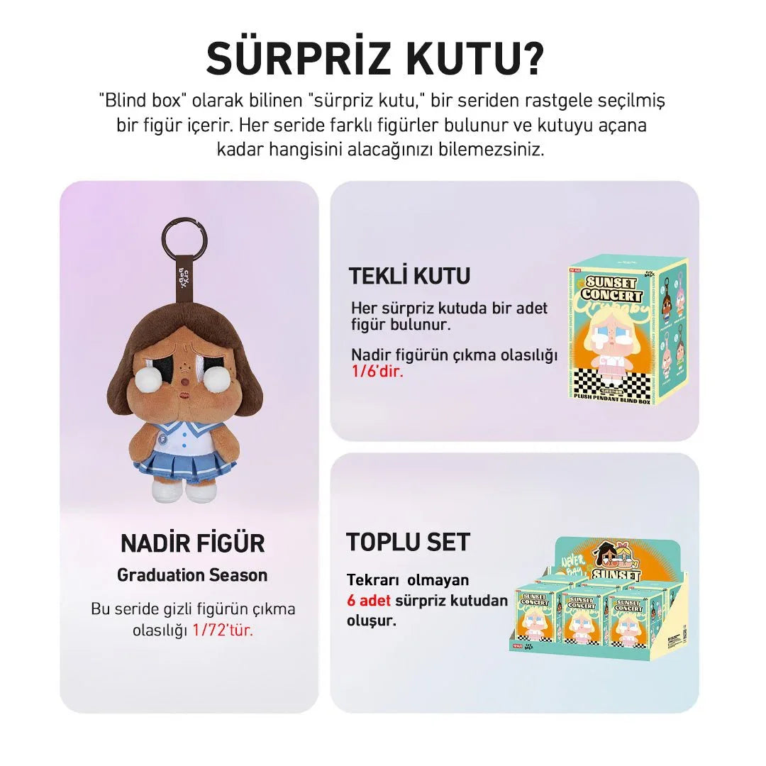 POP MART CRYBABY SUNSET CONCERT SÜRPRİZ KUTU SERİSİ