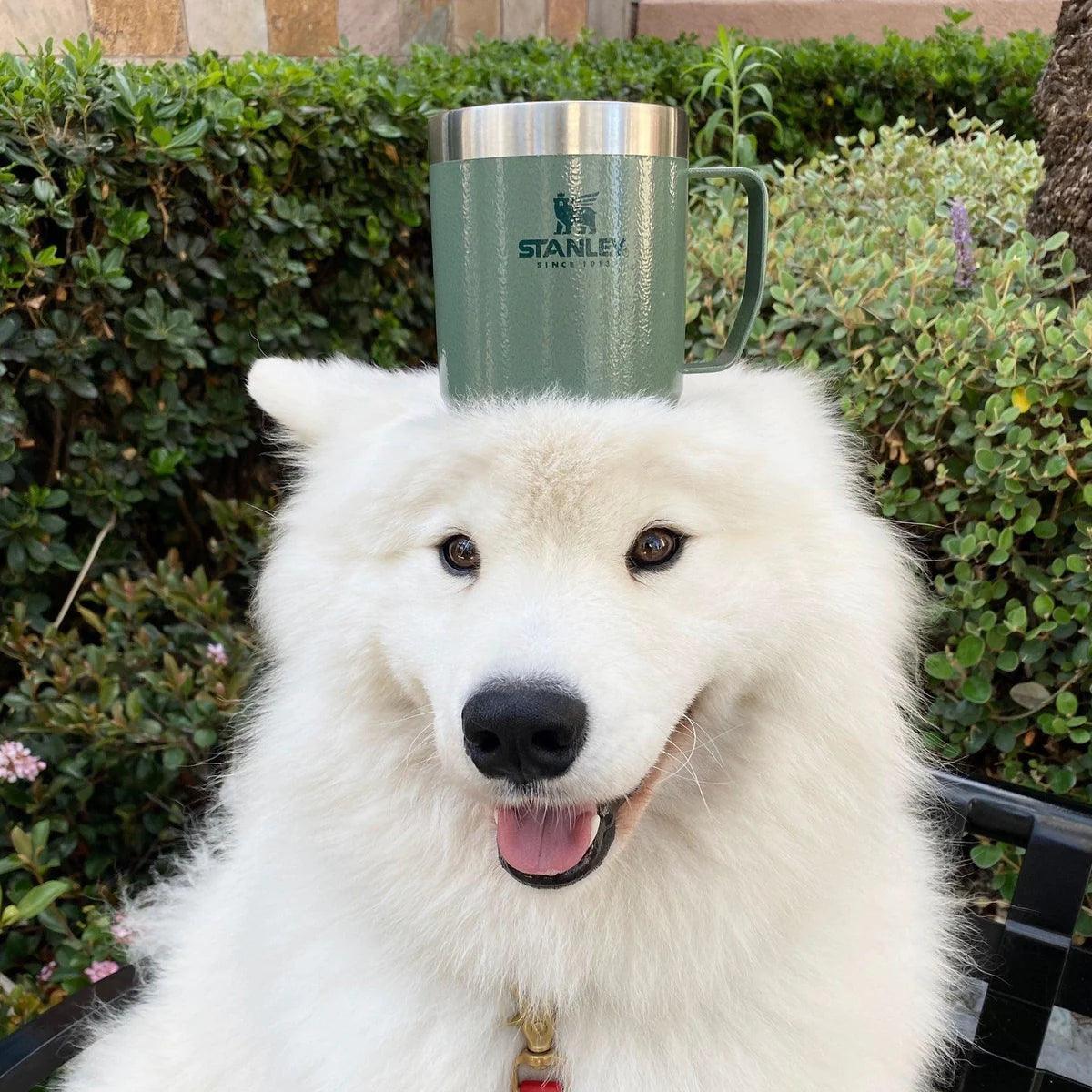 STANLEY TERMOS BARDAK 0.35 L